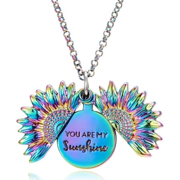 Jewelry - Rainbow You Are My Sunshine Open Locket Necklace